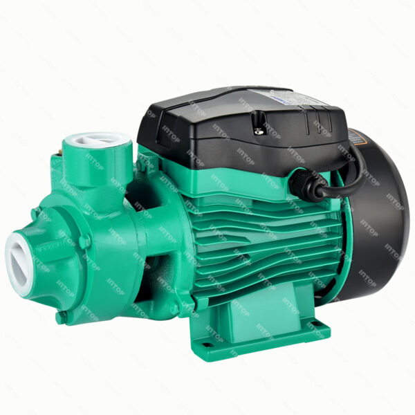 QB60-LEO-Peripheral Water Pump